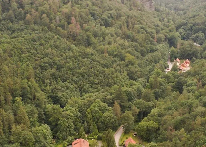Ferienhaeuser Am Brocken, 60 Qm 2 Schlafzimmer